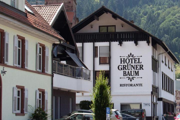 Hotel Gruener Baum - Hotel Im Murgtal, Schwarzwald Вайзенбах Экстерьер фото